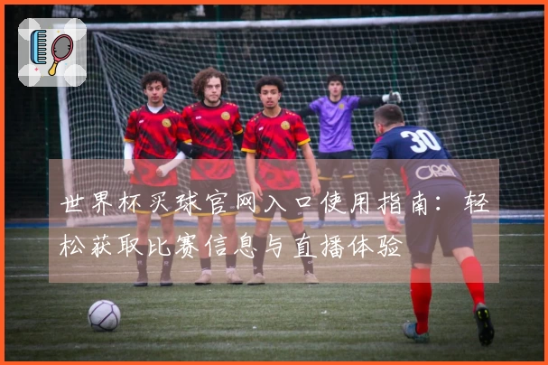 世界杯买球官网入口使用指南：轻松获取比赛信息与直播体验