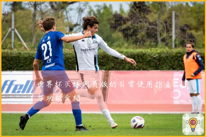 世界杯买球网页版的日常使用指南与功能介绍