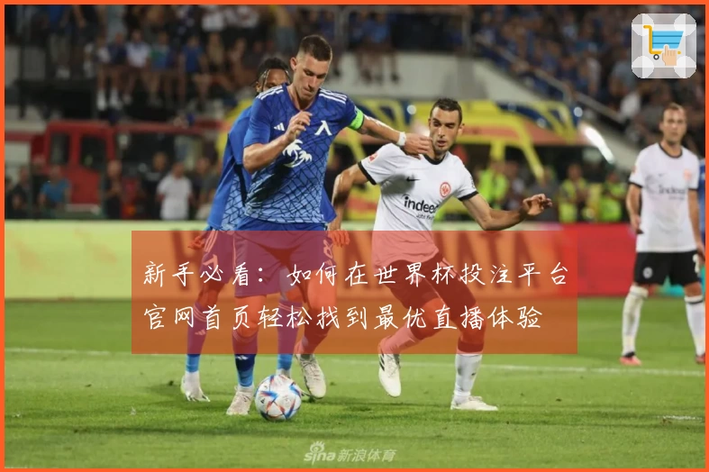 新手必看：如何在世界杯投注平台官网首页轻松找到最优直播体验