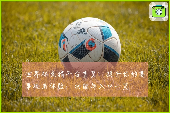 世界杯竞猜平台首页：提升你的赛事观看体验，功能与入口一览
