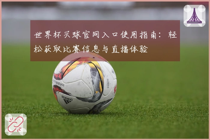 世界杯买球官网入口使用指南：轻松获取比赛信息与直播体验