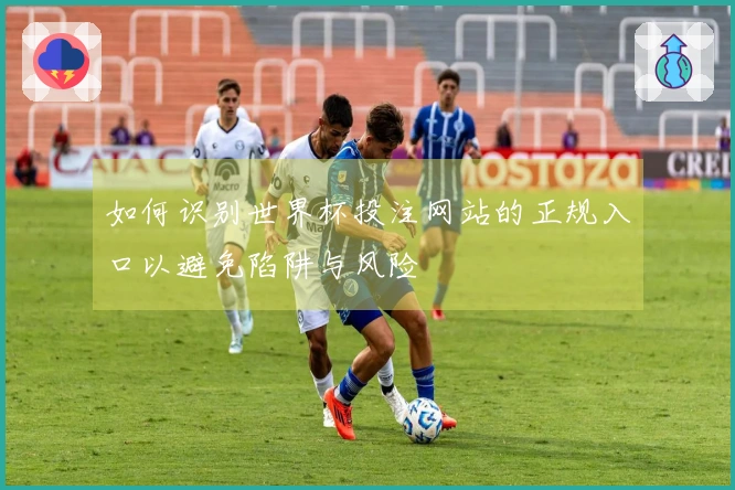 如何识别世界杯投注网站的正规入口以避免陷阱与风险