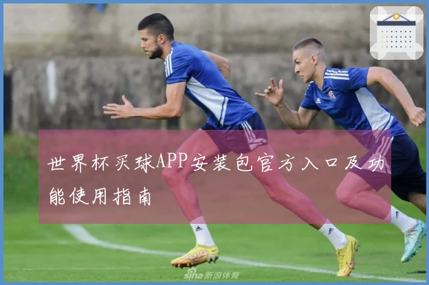 世界杯买球APP安装包官方入口及功能使用指南