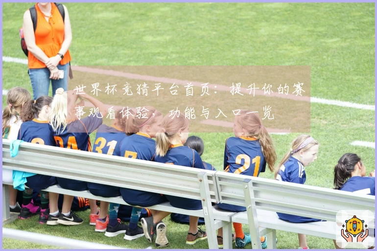世界杯竞猜平台首页：提升你的赛事观看体验，功能与入口一览