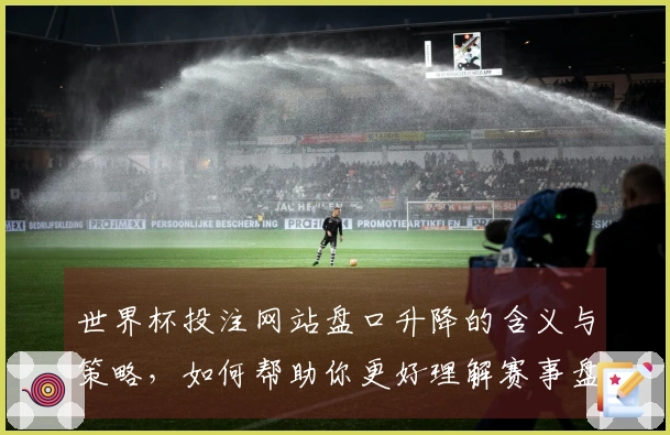 世界杯投注网站盘口升降的含义与策略，如何帮助你更好理解赛事盘口？