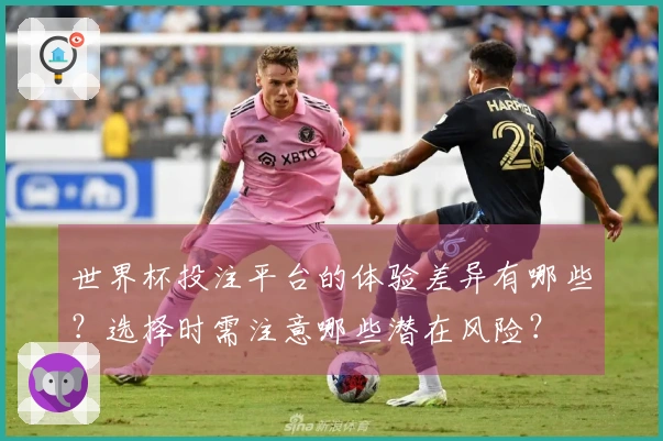 世界杯投注平台的体验差异有哪些？选择时需注意哪些潜在风险？