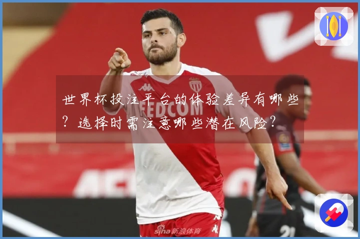 世界杯投注平台的体验差异有哪些?选择时需注意哪些潜在风险?